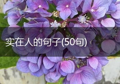 实在人的句子(50句)
