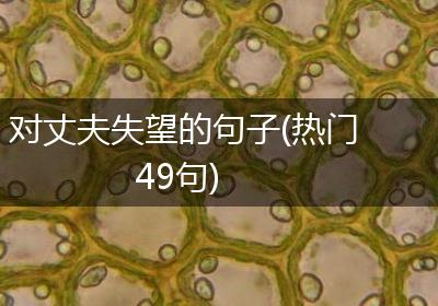 对丈夫失望的句子(热门49句)