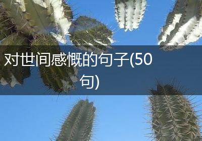 对世间感慨的句子(50句)
