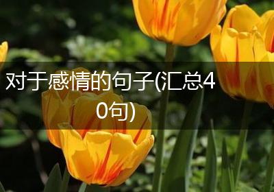 对于感情的句子(汇总40句)