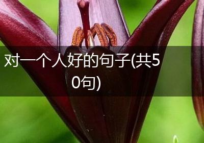 对一个人好的句子(共50句)