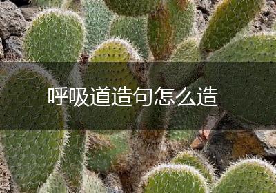 呼吸道造句怎么造
