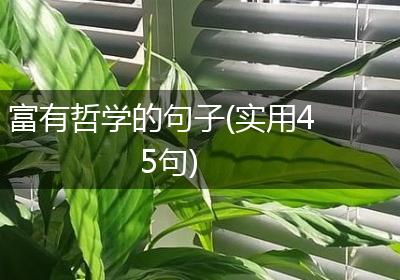 富有哲学的句子(实用45句)