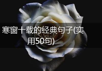 寒窗十载的经典句子(实用50句)
