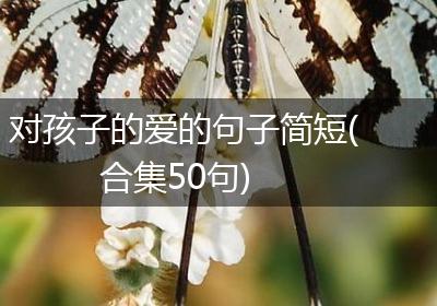 对孩子的爱的句子简短(合集50句)