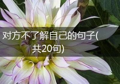 对方不了解自己的句子(共20句)