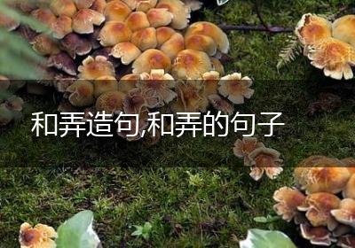 和弄造句,和弄的句子