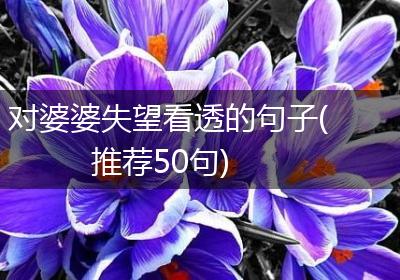 对婆婆失望看透的句子(推荐50句)
