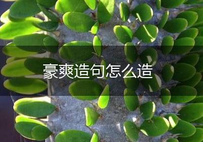 豪爽造句怎么造