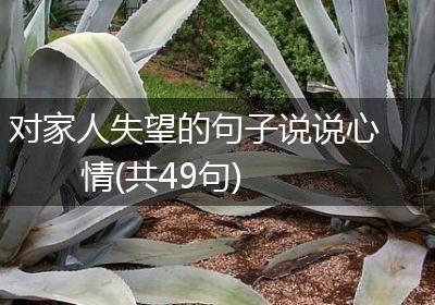 对家人失望的句子说说心情(共49句)