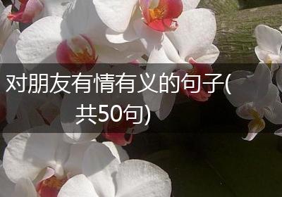 对朋友有情有义的句子(共50句)