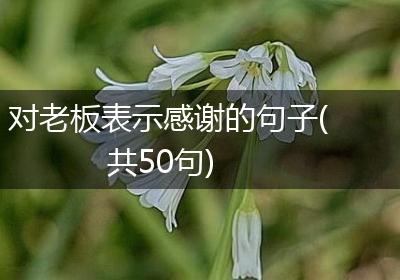 对老板表示感谢的句子(共50句)