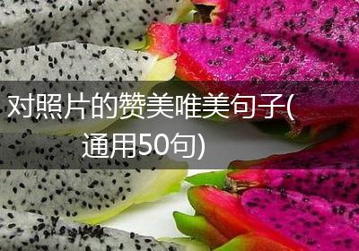 对照片的赞美唯美句子(通用50句)