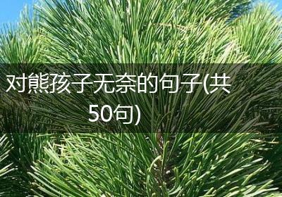 对熊孩子无奈的句子(共50句)
