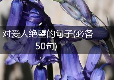 对爱人绝望的句子(必备50句)