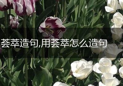荟萃造句,用荟萃怎么造句