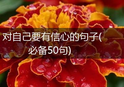 对自己要有信心的句子(必备50句)