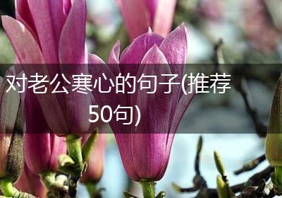 对老公寒心的句子(推荐50句)