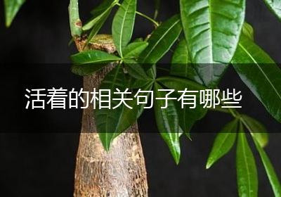 活着的相关句子有哪些