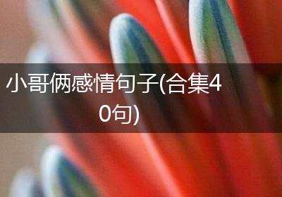 小哥俩感情句子(合集40句)