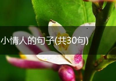 小情人的句子(共30句)