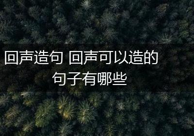 回声造句 回声可以造的句子有哪些