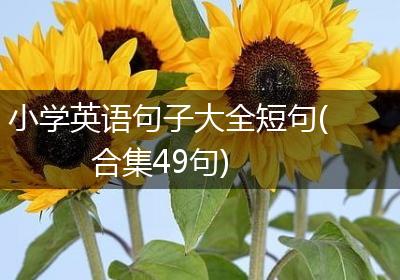 小学英语句子大全短句(合集49句)