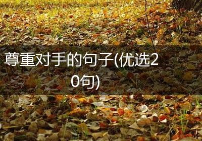 尊重对手的句子(优选20句)
