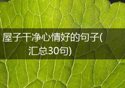 屋子干净心情好的句子(汇总30句)