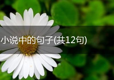 小说中的句子(共12句)