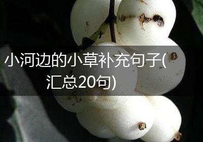 小河边的小草补充句子(汇总20句)