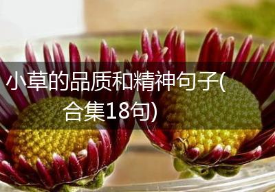 小草的品质和精神句子(合集18句)