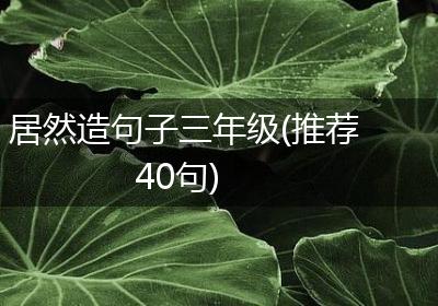居然造句子三年级(推荐40句)