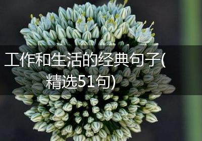 工作和生活的经典句子(精选51句)