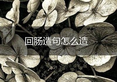回肠造句怎么造