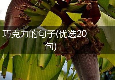 巧克力的句子(优选20句)