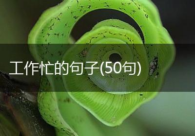 工作忙的句子(50句)