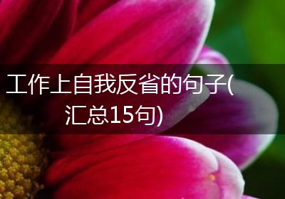 工作上自我反省的句子(汇总15句)
