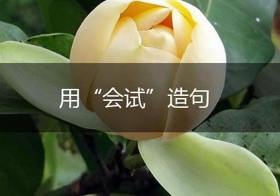 用“会试”造句