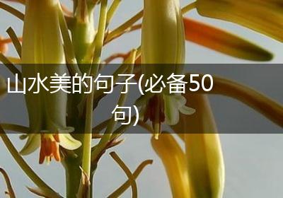 山水美的句子(必备50句)
