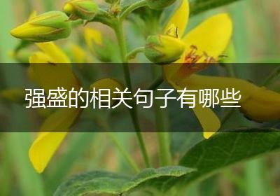 强盛的相关句子有哪些