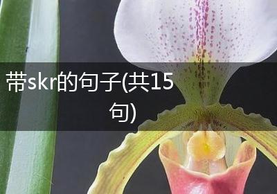 带skr的句子(共15句)