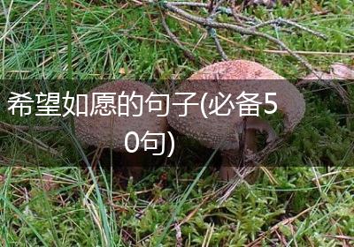 希望如愿的句子(必备50句)