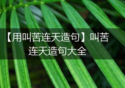 【用叫苦连天造句】叫苦连天造句大全