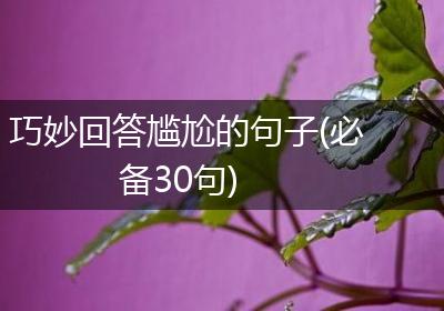 巧妙回答尴尬的句子(必备30句)