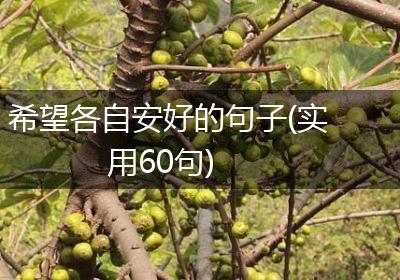 希望各自安好的句子(实用60句)