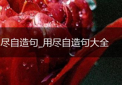 尽自造句_用尽自造句大全