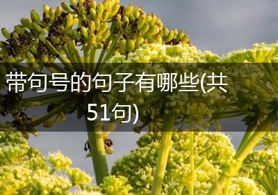 带句号的句子有哪些(共51句)