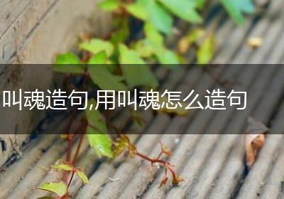 叫魂造句,用叫魂怎么造句