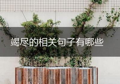 竭尽的相关句子有哪些